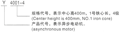 西安泰富西玛Y系列(H355-1000)高压YJTFKK4003-2/355KW三相异步电机型号说明