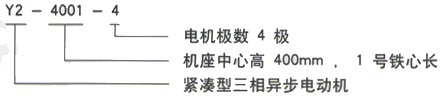 YR系列(H355-1000)高压YJTFKK4003-2/355KW三相异步电机西安西玛电机型号说明